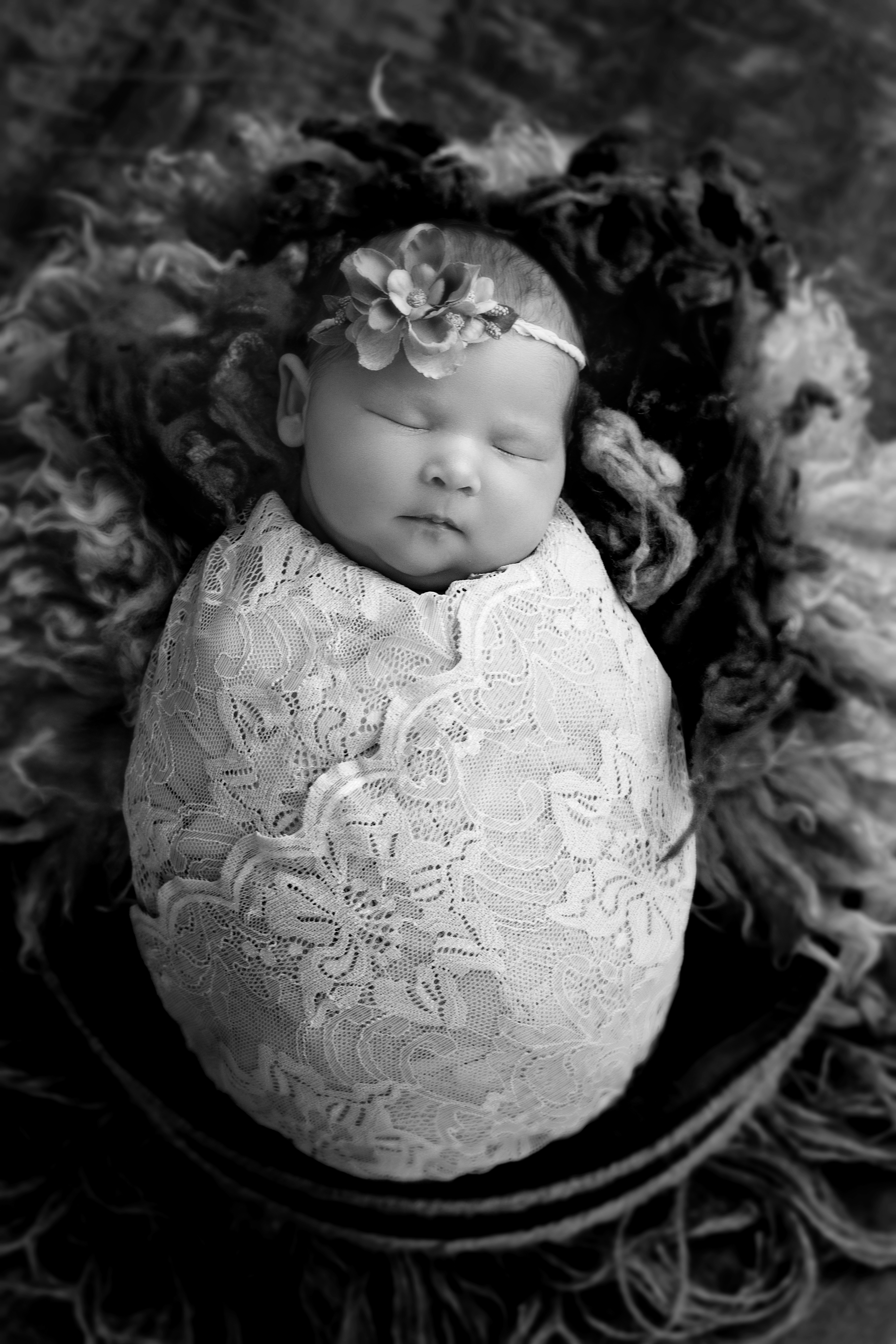 DSC_4537 F BW DSC_4537 F BW