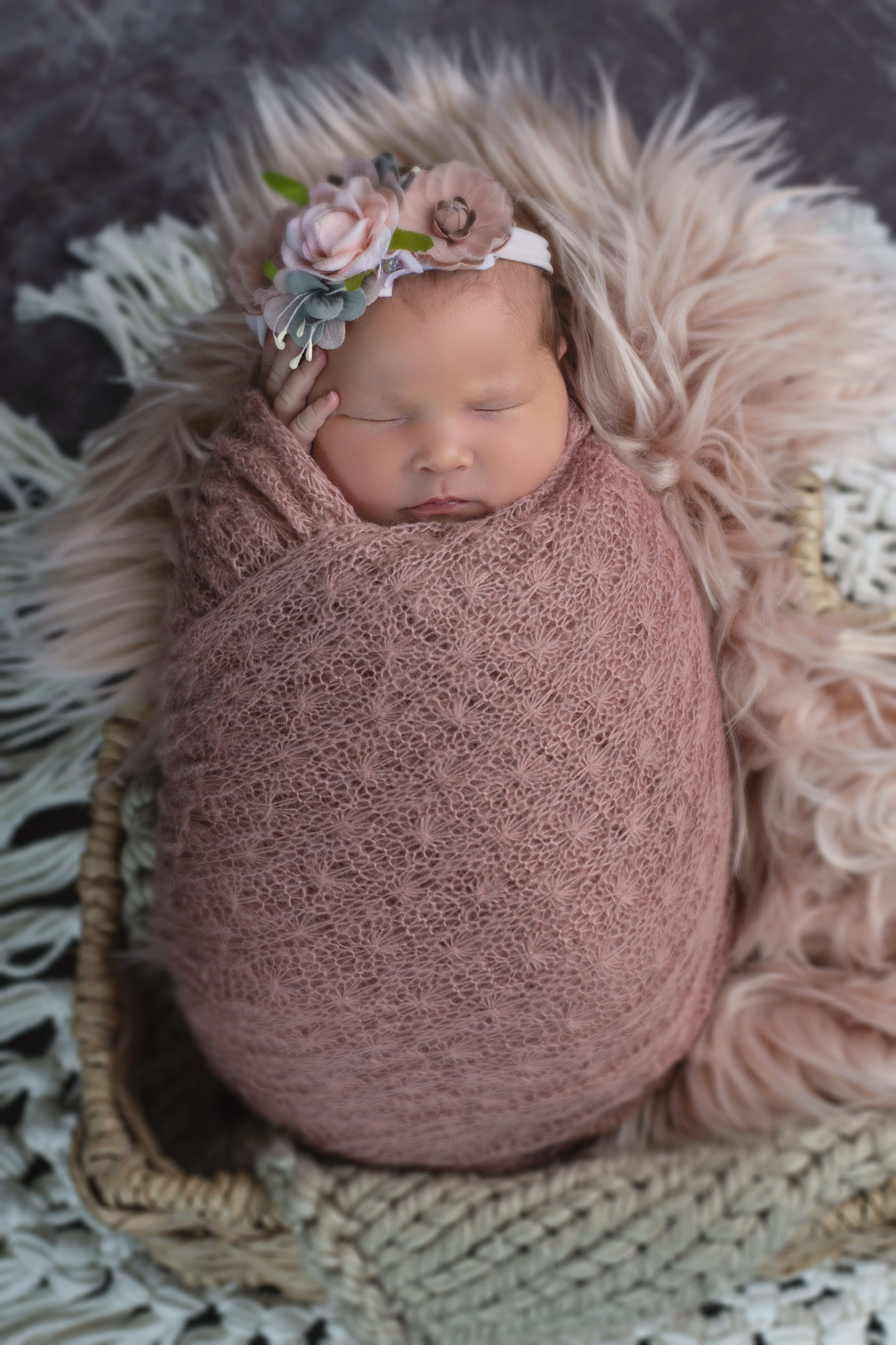 DSC_4561 F DSC_4561 F