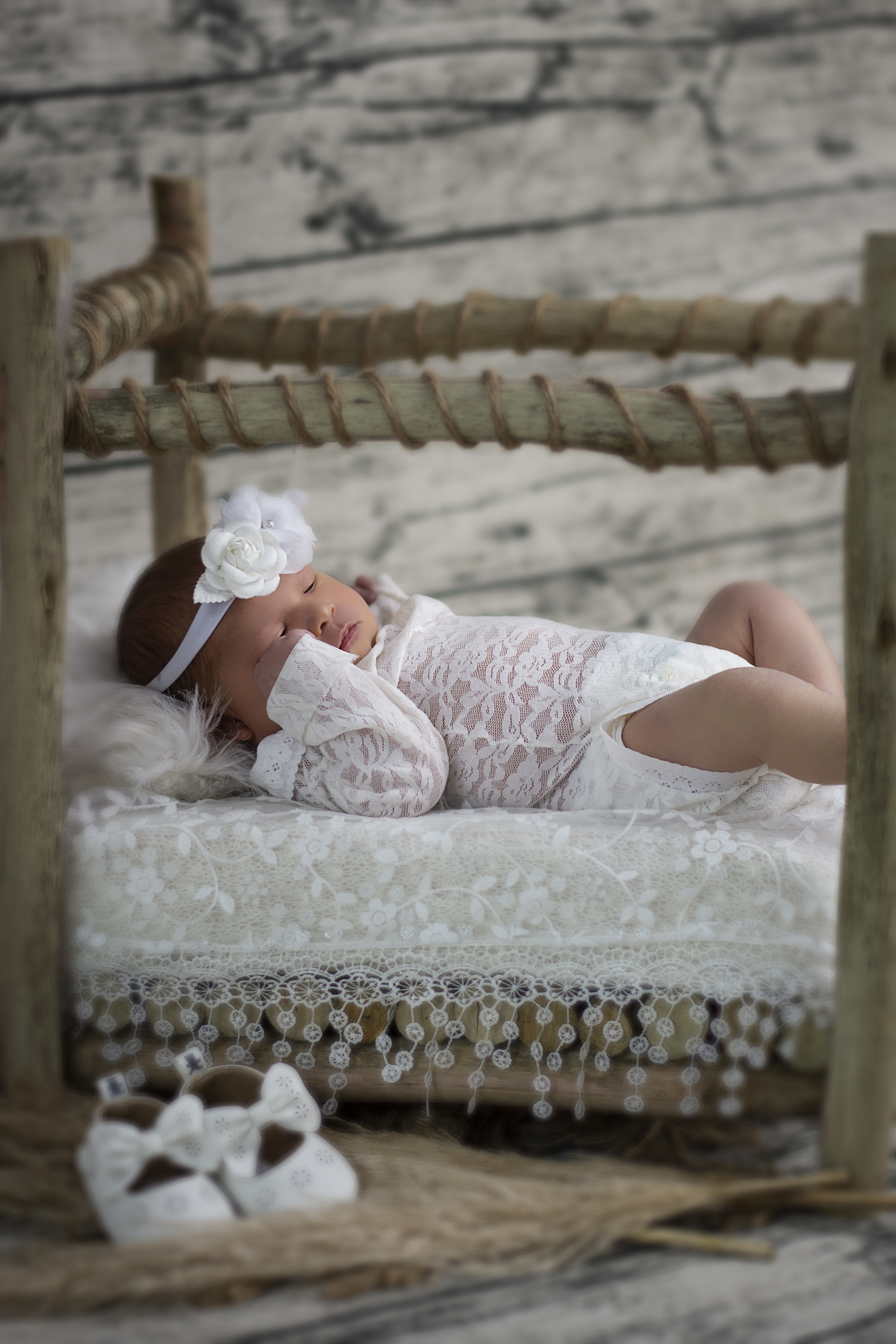 DSC_4722 F DSC_4722 F