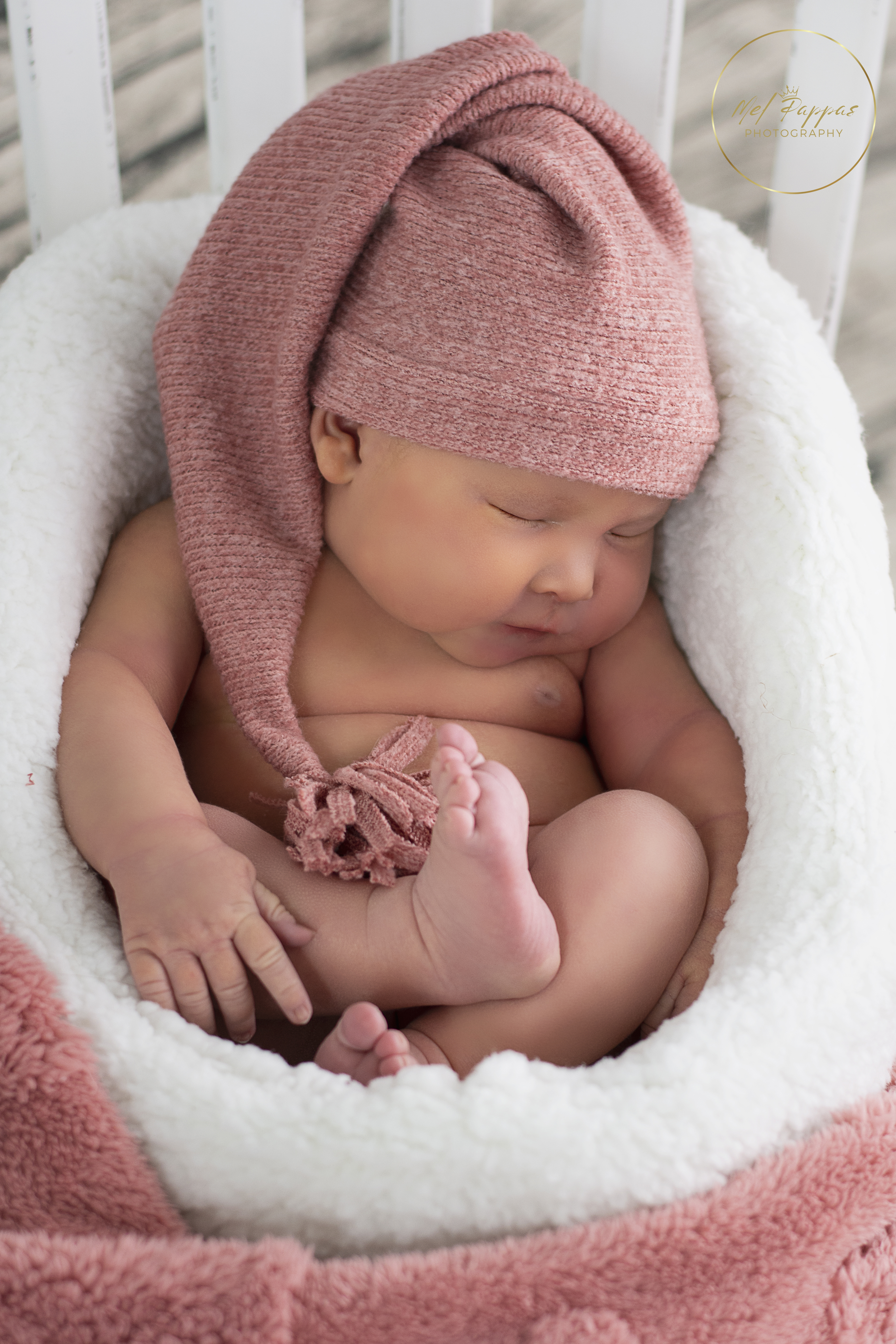 DSC_4792 F L DSC_4792 F L